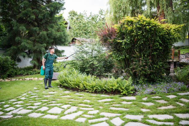Best Local Pest Control Services  in Ferrysburg, MI