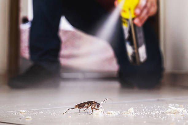 Best Affordable Pest Control Services  in Ferrysburg, MI
