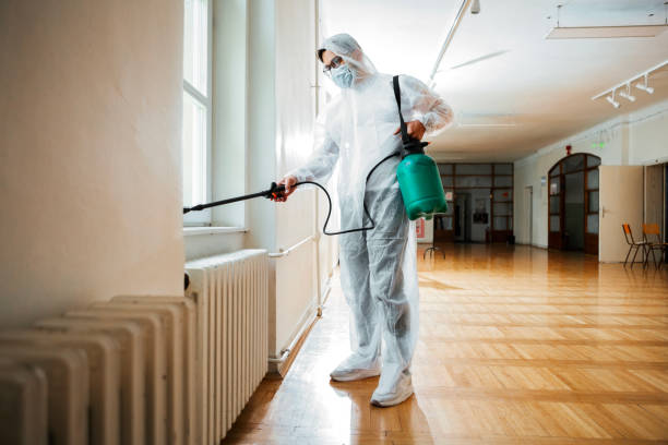 Best Termite Control Services  in Ferrysburg, MI