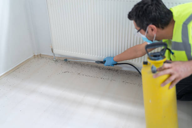 Best Mosquito Control Services  in Ferrysburg, MI