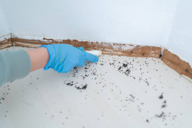 Best Best Pest Control Companies  in Ferrysburg, MI
