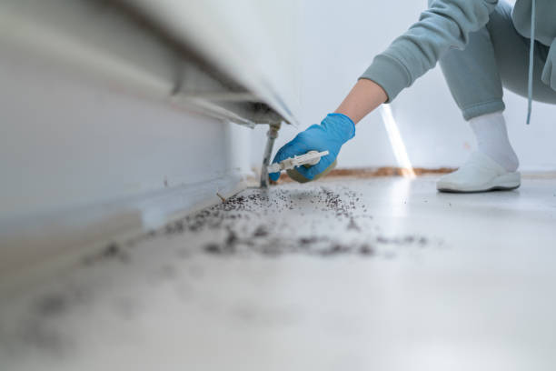 Wildlife Control Services in Ferrysburg, MI